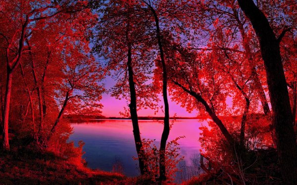 Earth - scenic Wallpapers and Backgrounds