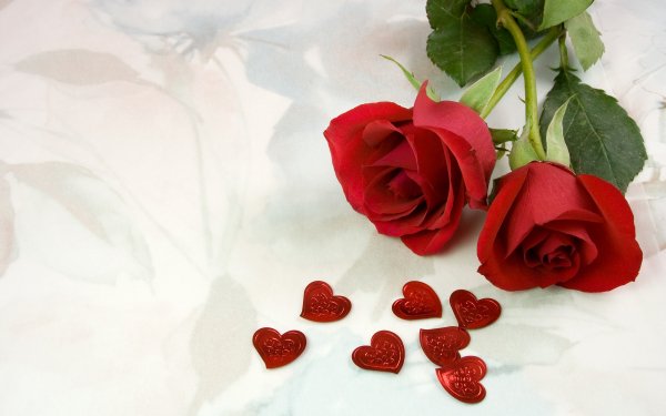 Photography - Love Wallpapers and Backgrounds