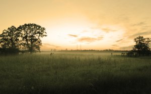Earth - fog Wallpaper