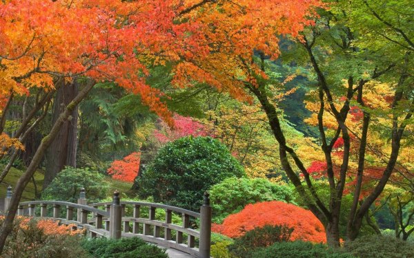 Photography - Park Wallpapers and Backgrounds