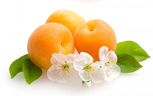 Food - peach Wallpapers and Backgrounds