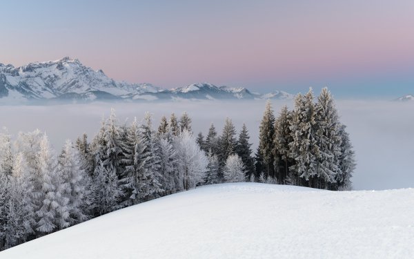 Earth - winter Wallpapers and Backgrounds
