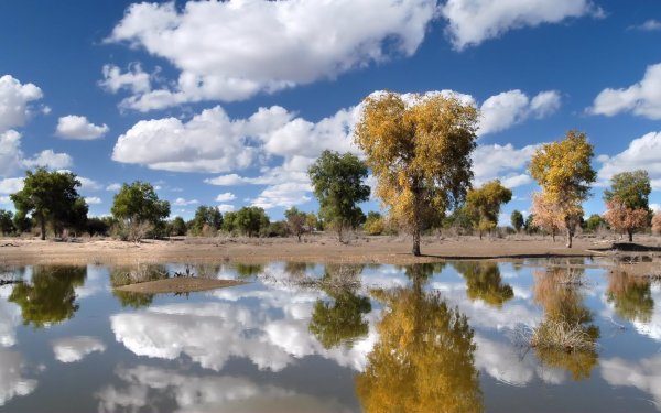 Earth - reflection Wallpapers and Backgrounds