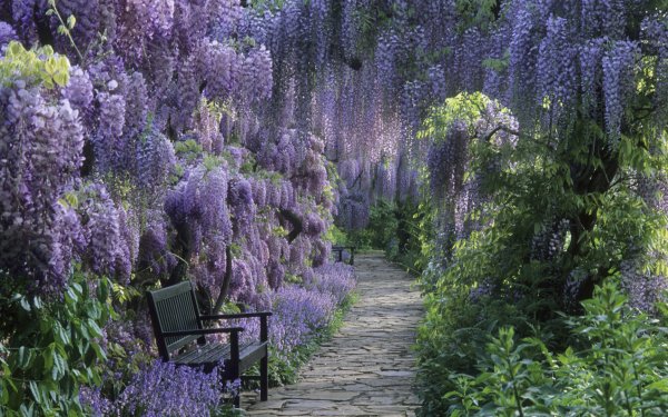 Photography - Park Wallpapers and Backgrounds