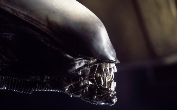 Movie - Alien Wallpapers and Backgrounds
