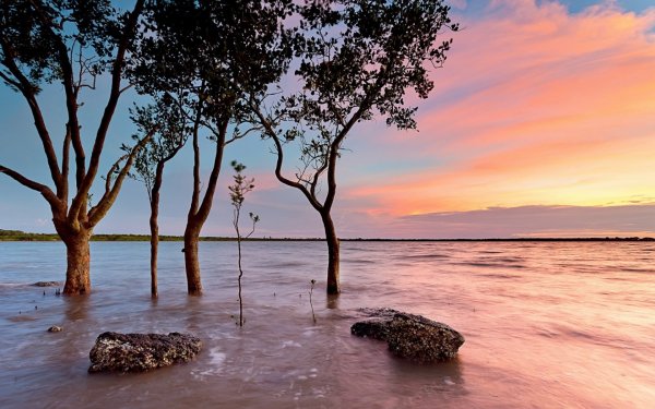Earth - sunset Wallpapers and Backgrounds