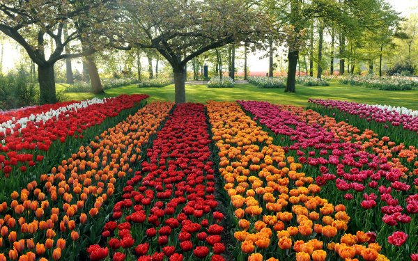 Photography - Park Wallpapers and Backgrounds