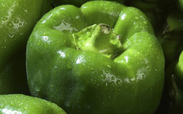 Food - Pepper Wallpapers and Backgrounds