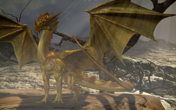 Fantasy - Dragon Wallpapers and Backgrounds