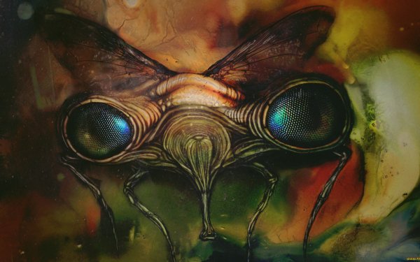 Fantasy - Creature Wallpapers and Backgrounds