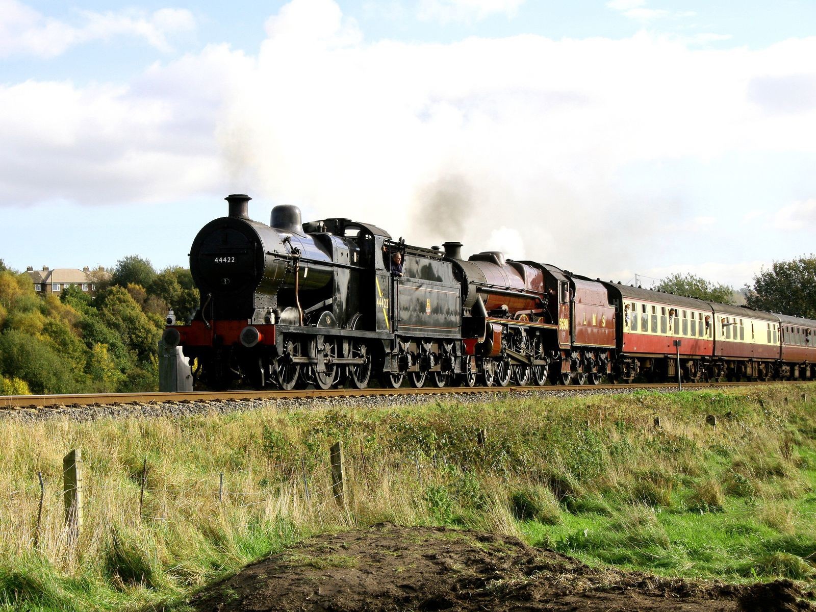 435843.jpg