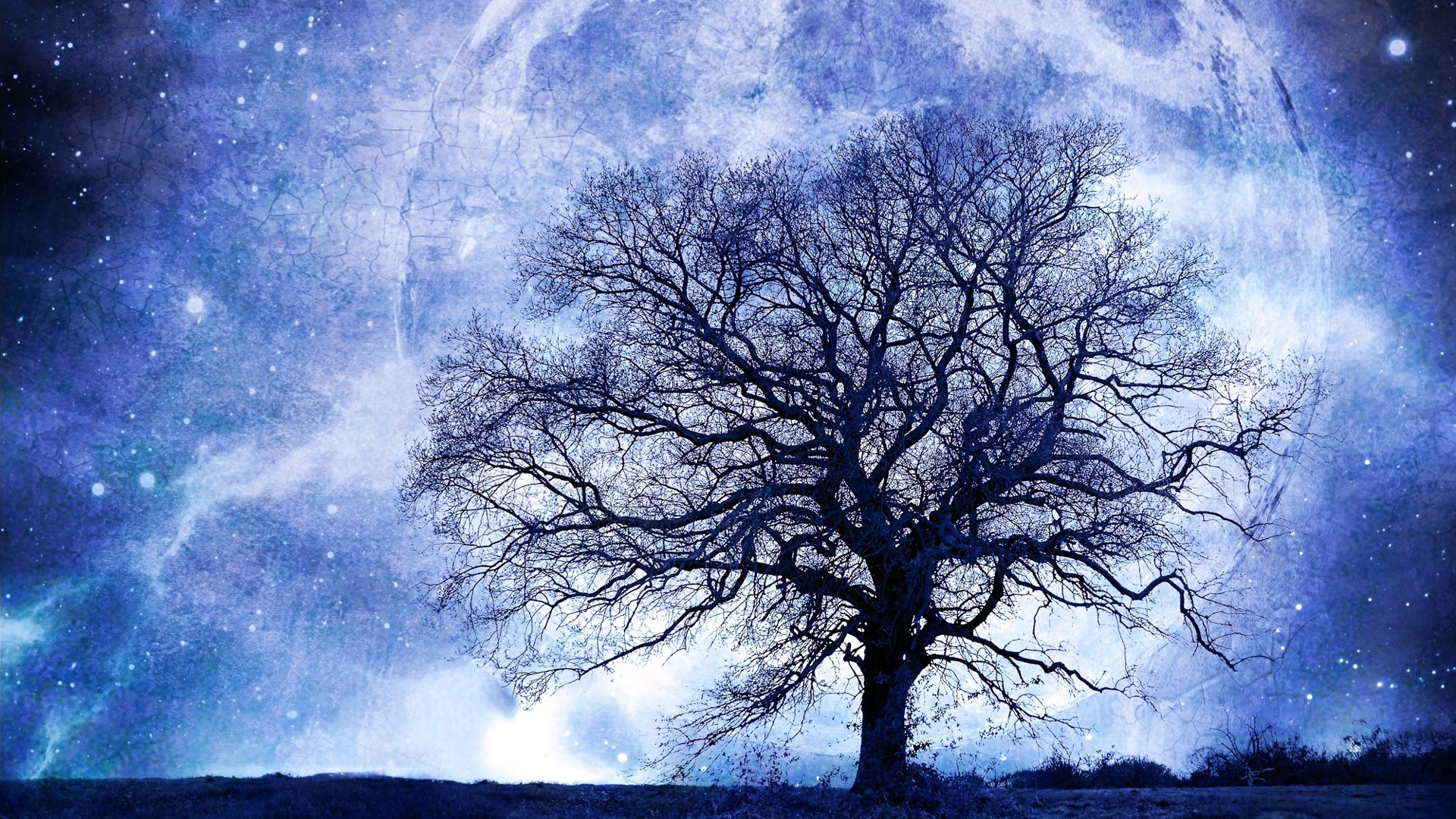 Tree on Blue Moon Night