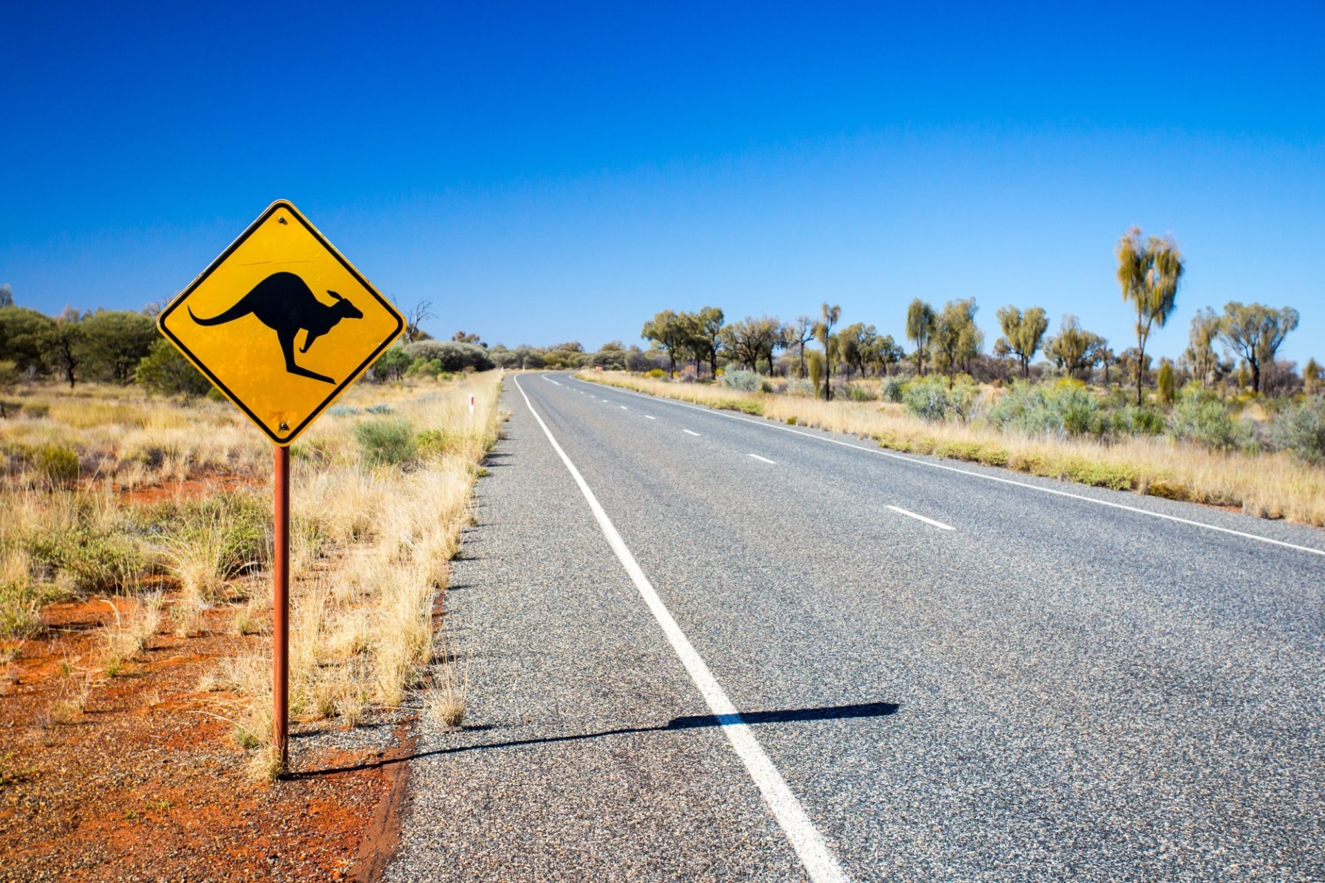 Iconic Australian Road with Kangaroo Warning Sign – HD Wallpaper ...