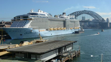Ovation of the Seas cruise ship docked near Sydney Harbour Bridge in Sydney Harbour, with vehicles and waterfront structures visible under a clear blue sky.