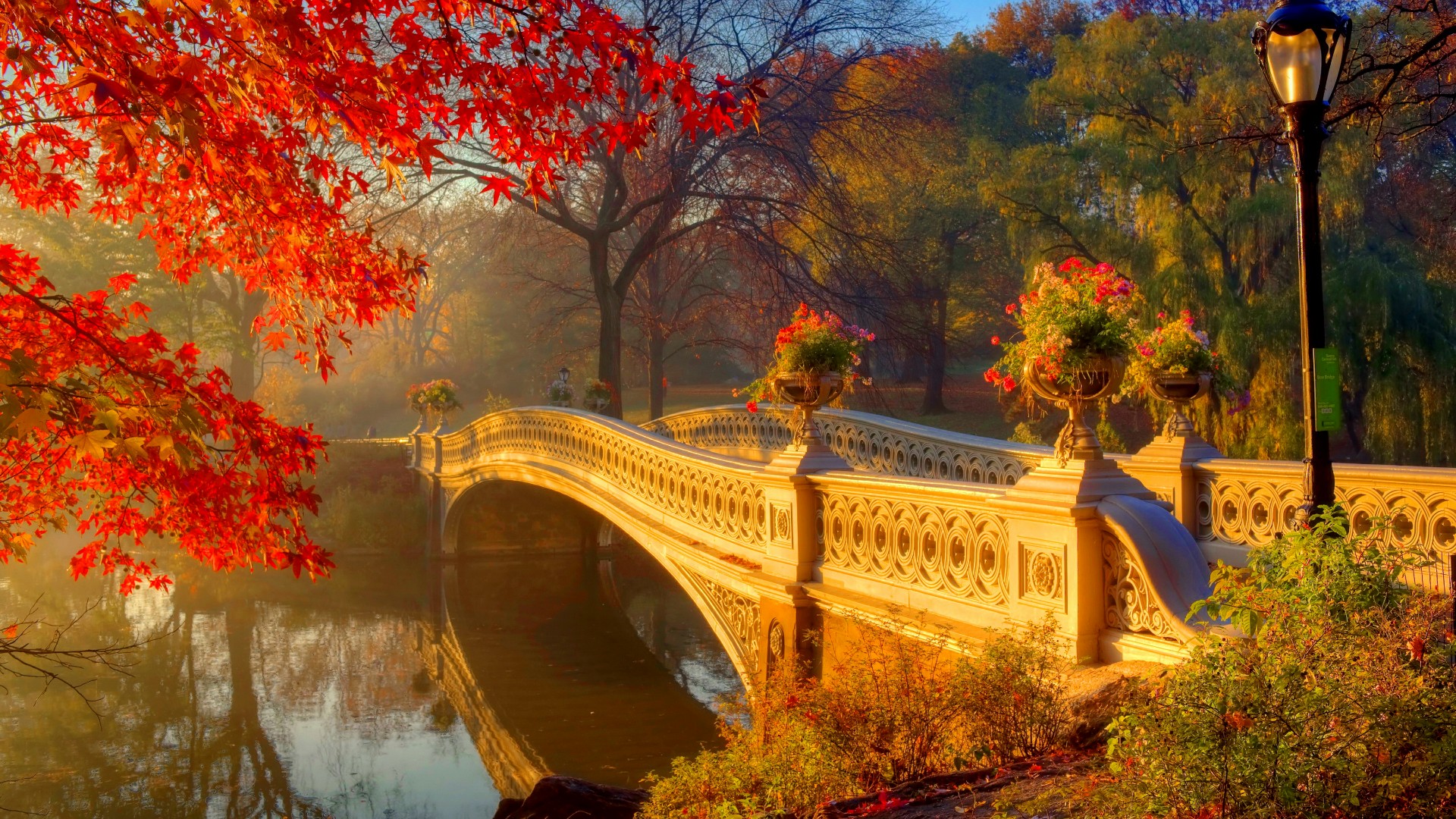 Fall Serenity: Bow Bridge in Central Park - HD Wallpaper