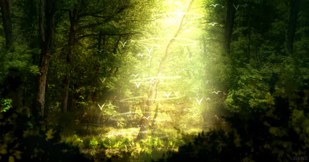 HD anime-style desktop wallpaper depicting a fantasy forest with tall trees and glowing birds illuminated by a radiant beam of sunlight.