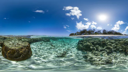 A vibrant underwater scene of the Great Barrier Reef, Australia, featuring clear turquoise waters and coral formations, with a tropical island and blue skies above.