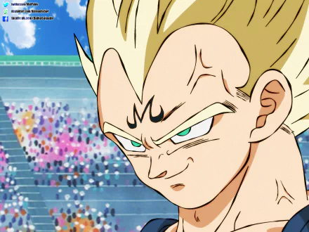 Vegeta (Dragon Ball) Anime Dragon Ball Z Majin Vegeta HD Desktop Wallpaper | Background Image