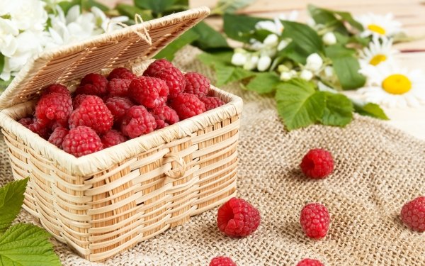 Food Raspberry Fruits Fruit Berry Basket Still Life HD Wallpaper | Background Image
