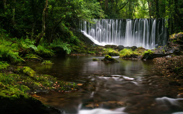 vegetation rainforest nature waterfall HD Desktop Wallpaper | Background Image