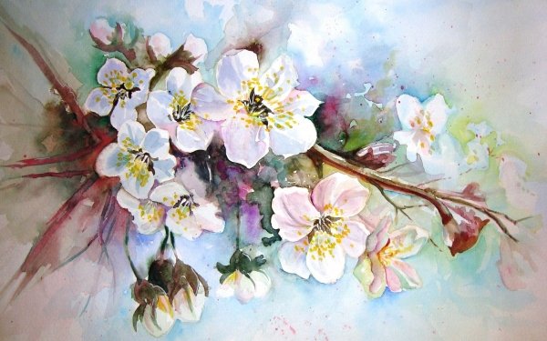 Artistic Flower Flowers Watercolor HD Wallpaper | Background Image
