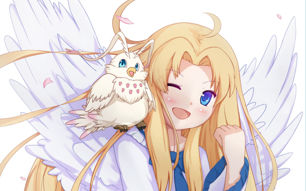 Anime The Rising of the Shield Hero Filo Blonde Blue Eyes Wings Bird HD Wallpaper | Background Image