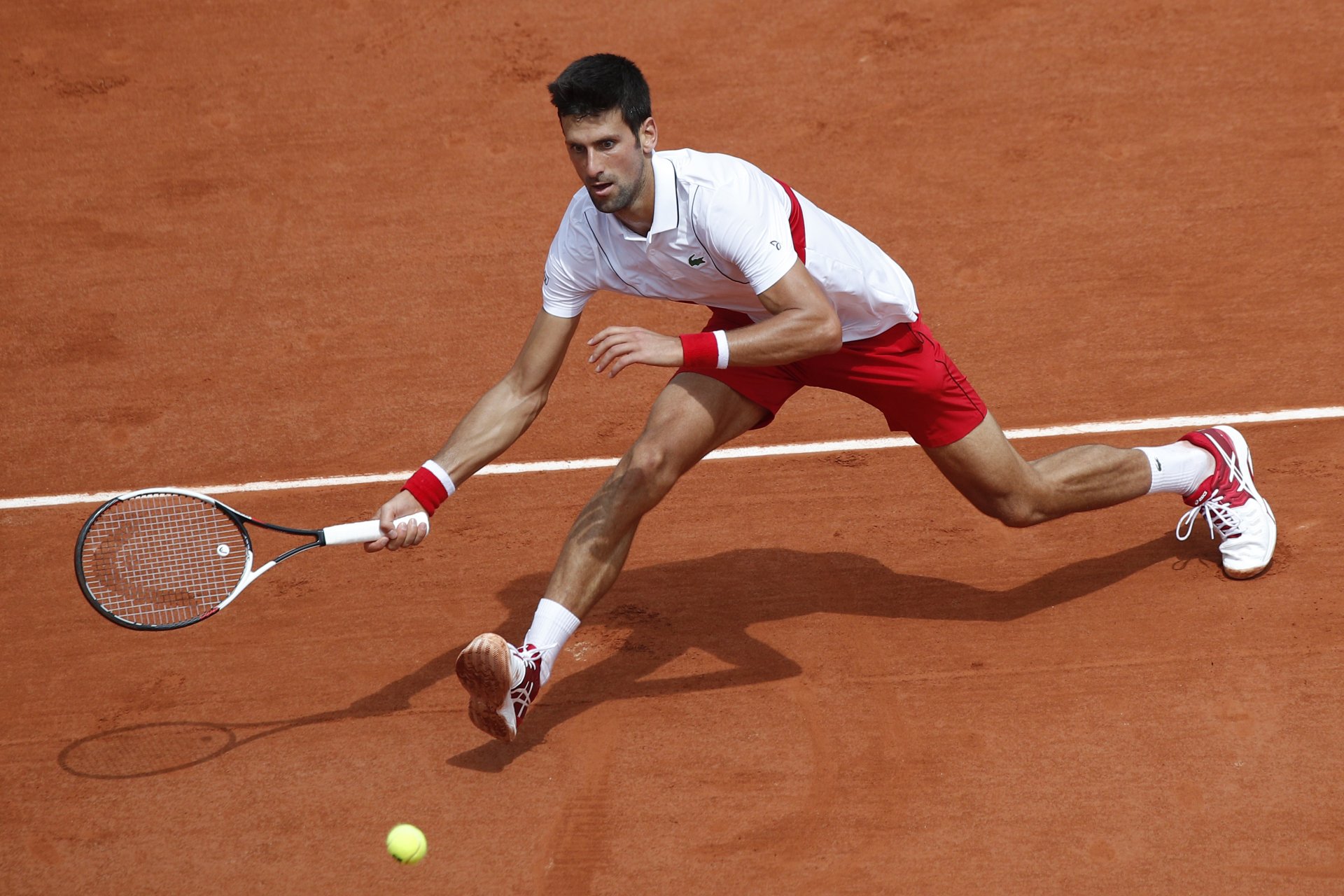 Sports Novak Djokovic K Ultra HD Wallpaper