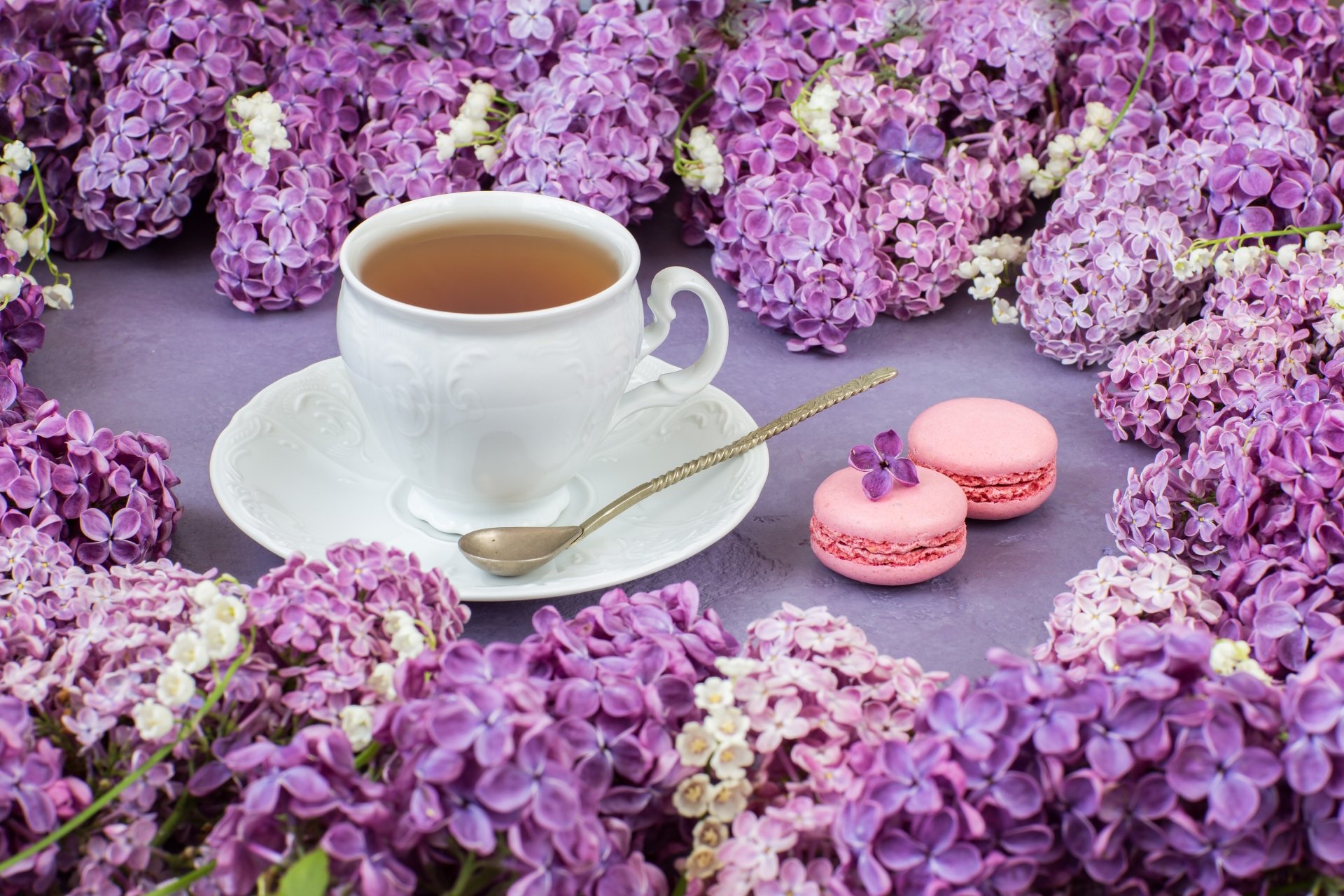 Download Lilac Pink Flower Flower Still Life Cup Food Tea 4k Ultra HD