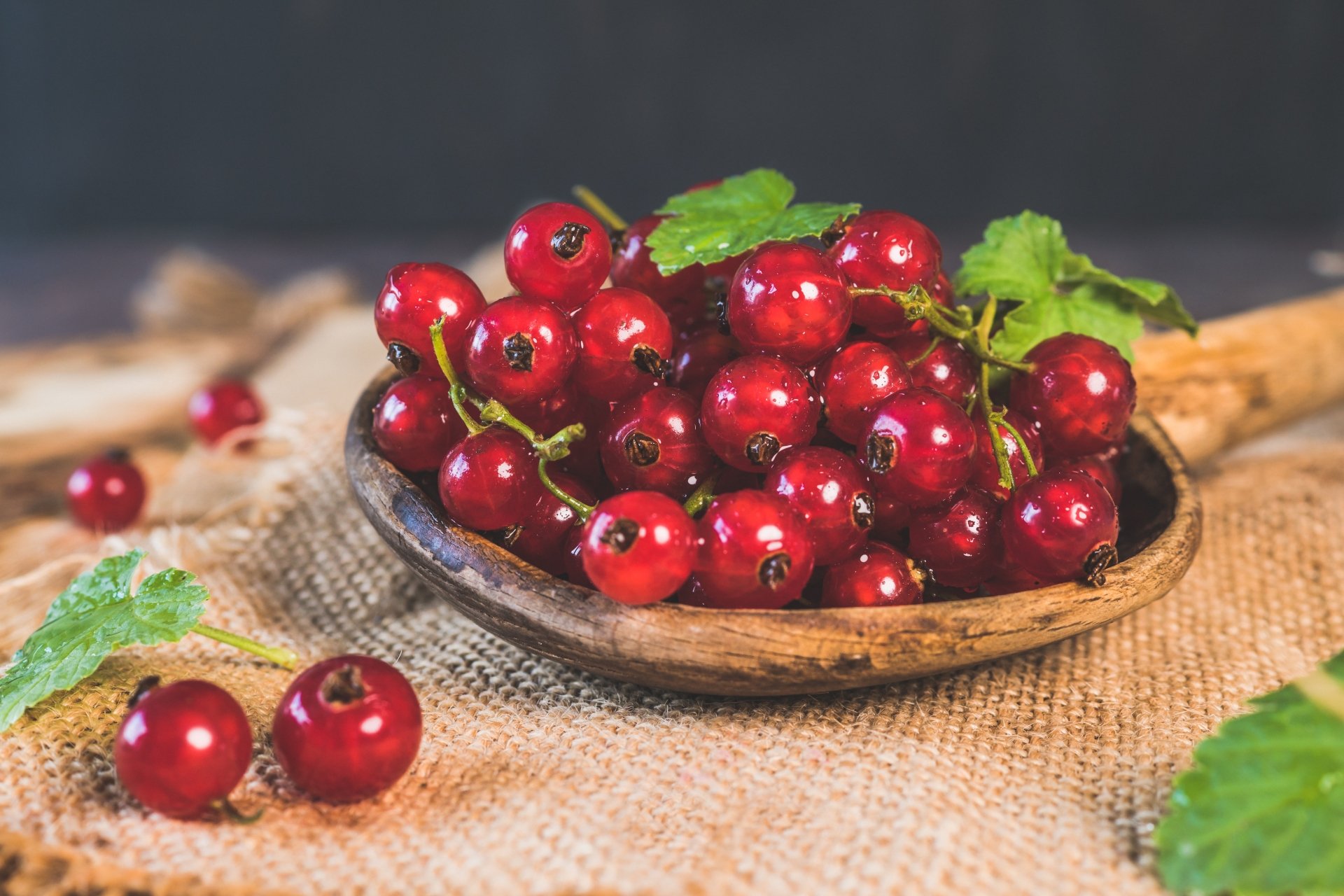 Download Fruit Berry Food Currants 4k Ultra HD Wallpaper