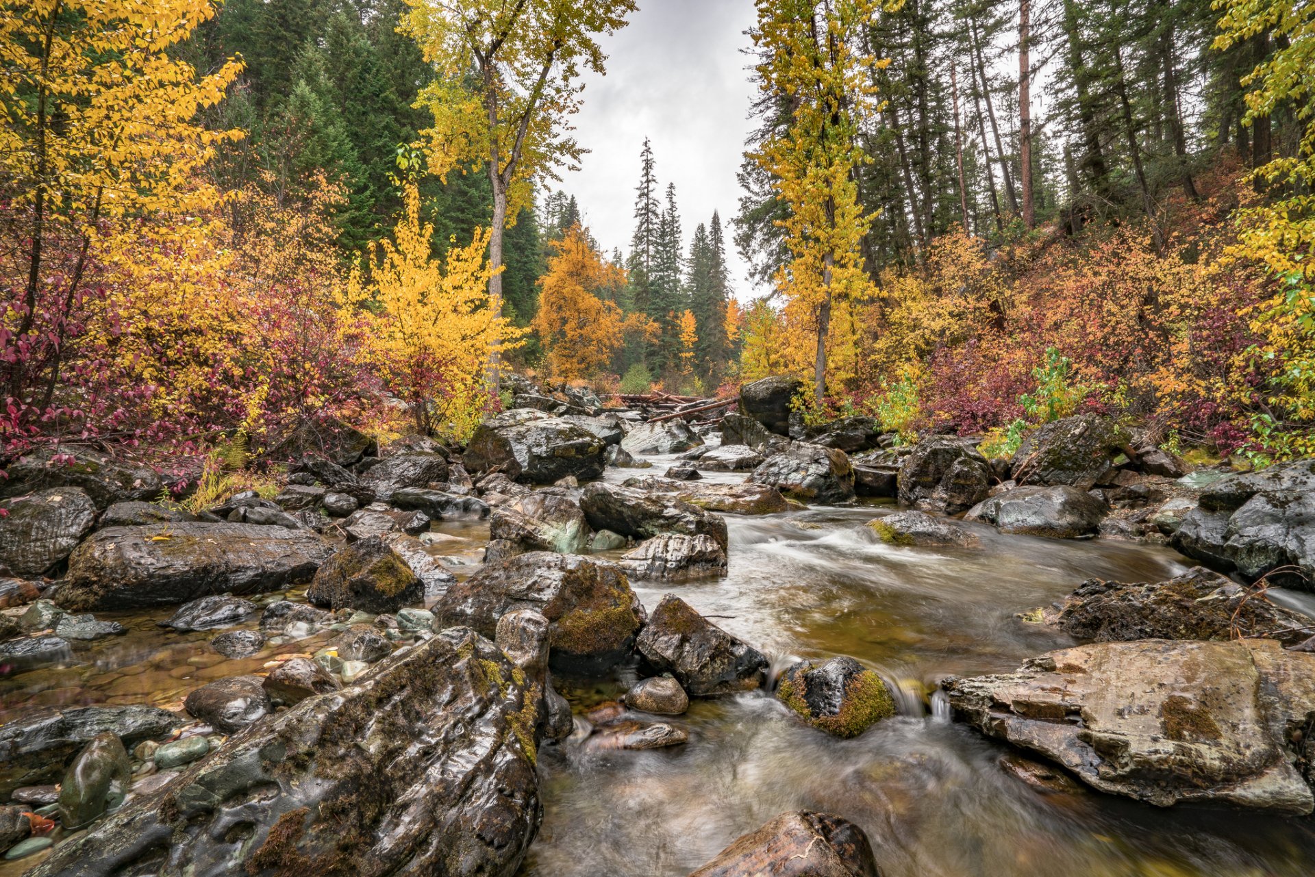 Download Fall Nature Stream HD Wallpaper