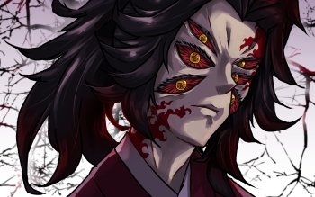 Pin by Wibu-kun on Kimetsu no yaiba  Anime, New wallpaper hd, Anime demon