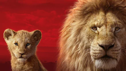 Simba movie The Lion King (2019) HD Desktop Wallpaper | Background Image