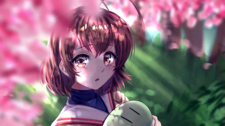 HD anime desktop wallpaper featuring Nagisa Furukawa from Clannad holding a dango, surrounded by vibrant cherry blossoms and soft sunlight.