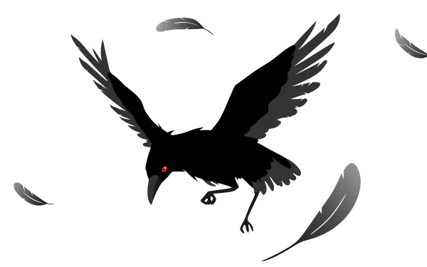 vector feather crow minimalist Animal artistic HD Desktop Wallpaper | Background Image