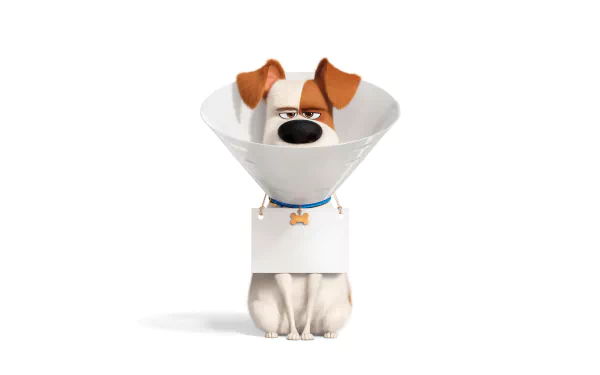 Max (The Secret Life of Pets) movie The Secret Life of Pets 2 HD Desktop Wallpaper | Background Image