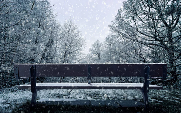 snowfall man made bench HD Desktop Wallpaper | Background Image