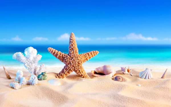 Artistic 8K Ultra HD wallpaper of a starfish and shells arranged on sandy beach with clear blue sky and turquoise ocean in the background, capturing the essence of summer.