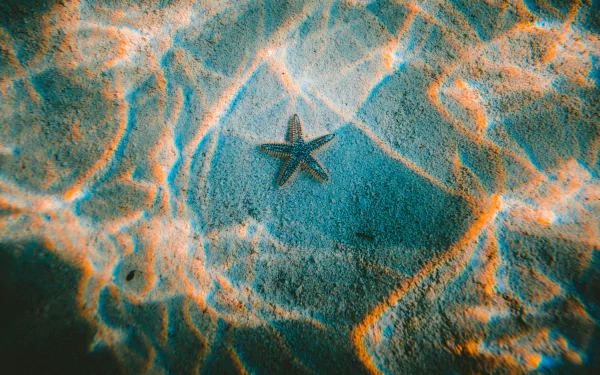  Underwater as Seen through Sunlight