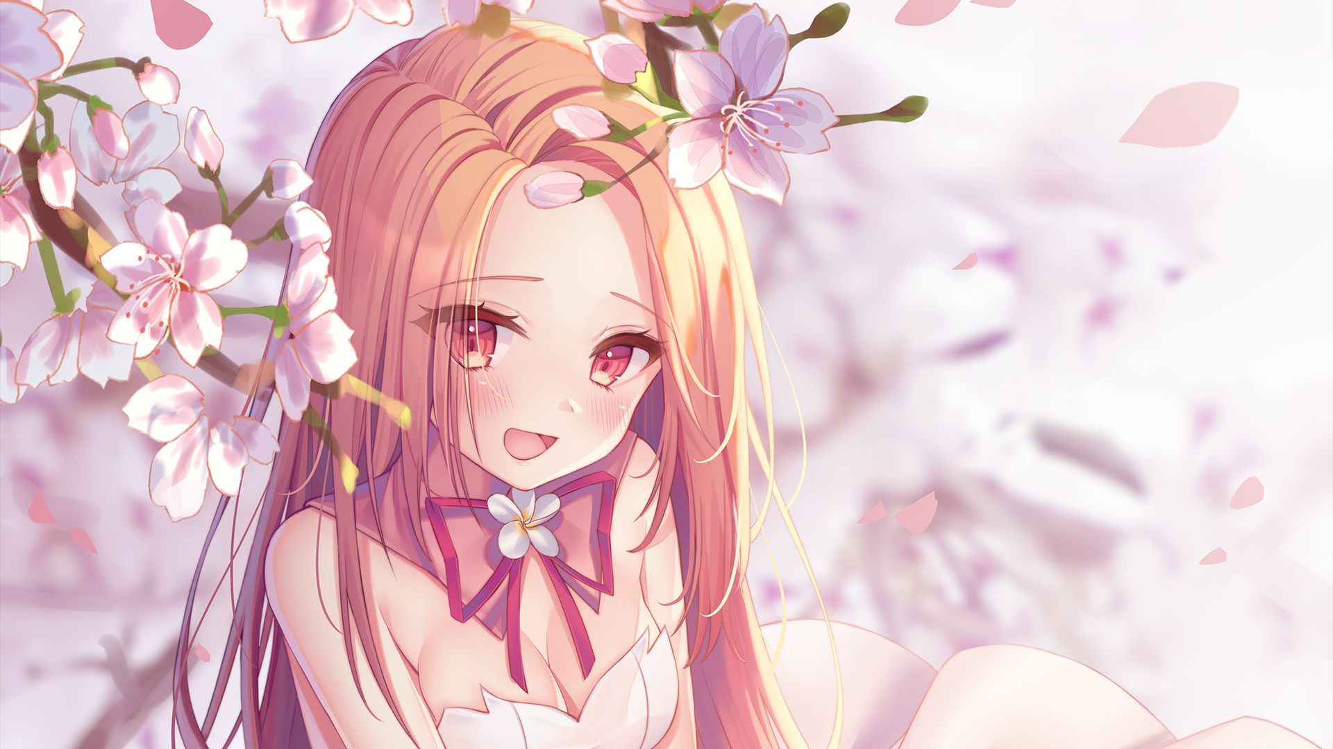 Blossoming Beauty: Cherry Blossom Anime HD Wallpaper by キュビ