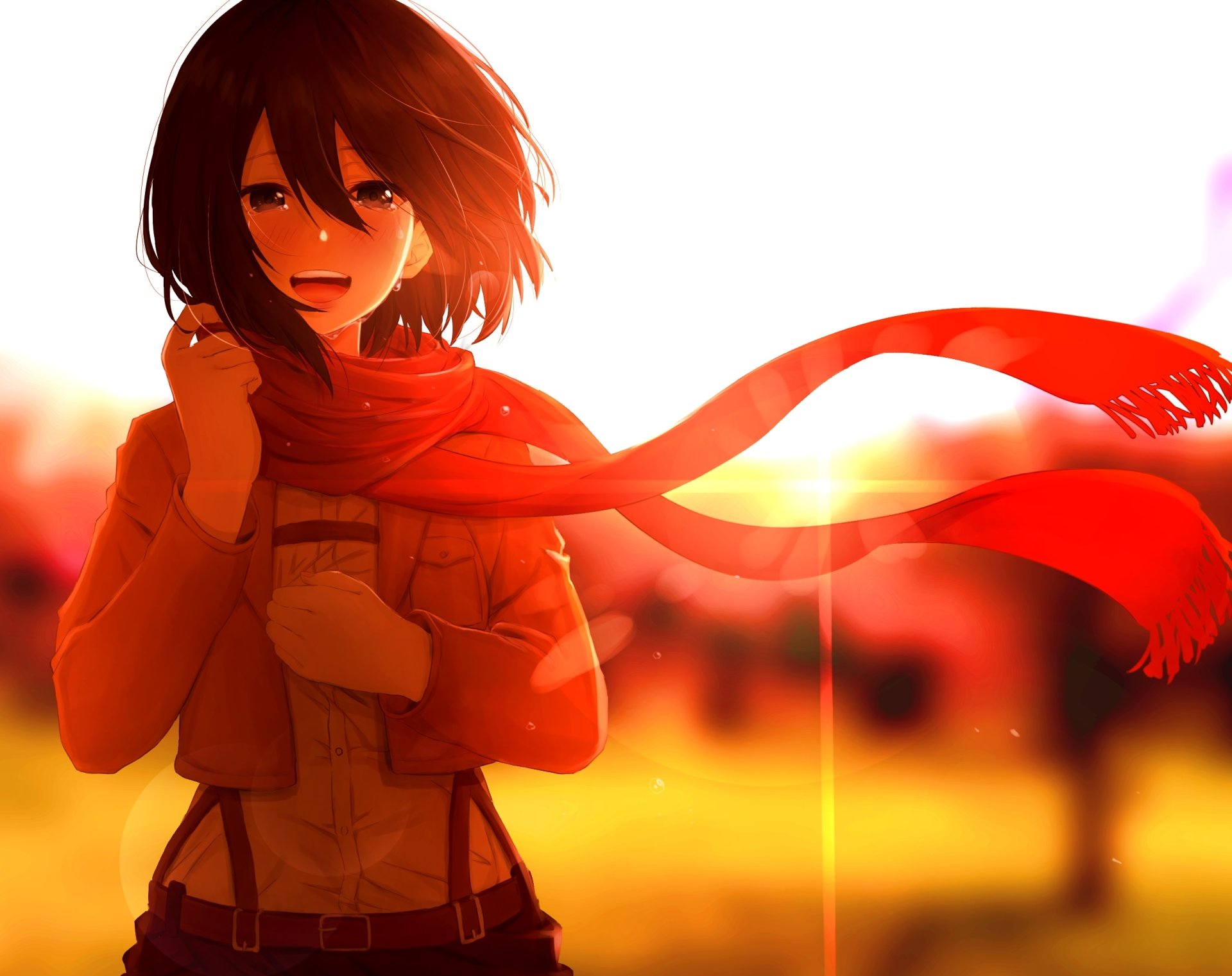 HD desktop wallpaper featuring Mikasa Ackerman from the anime Attack on Titan, with a vivid sunset background and a red scarf blowing in the wind.