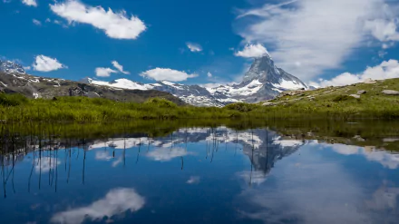  Stellisee by Bastian Kratzke