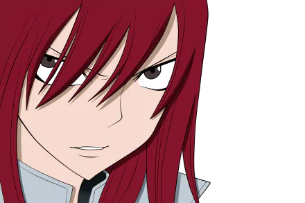 Erza Scarlet Anime Fairy Tail HD Desktop Wallpaper | Background Image