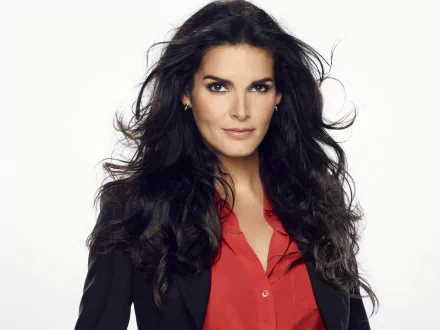 black hair American actress Celebrity Angie Harmon HD Desktop Wallpaper | Background Image
