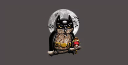 Robin (DC Comics) moon bird owl Comic Batman HD Desktop Wallpaper | Background Image