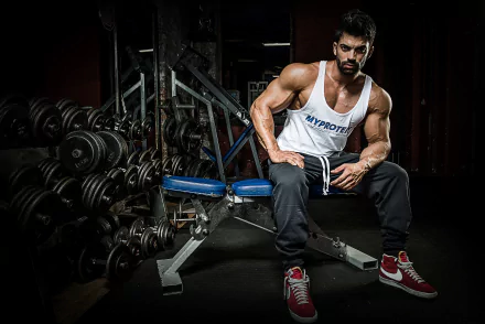 muscle weightlifting Sports HD Desktop Wallpaper | Background Image