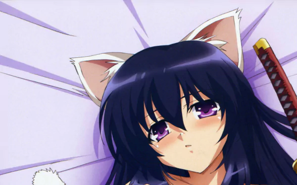 Himari Noihara Anime Omamori Himari HD Desktop Wallpaper | Background Image