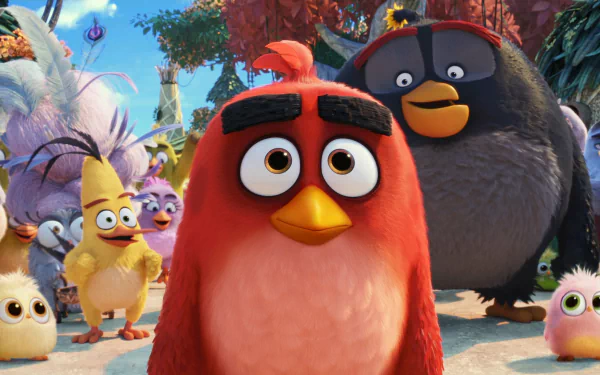 movie The Angry Birds Movie 2 HD Desktop Wallpaper | Background Image