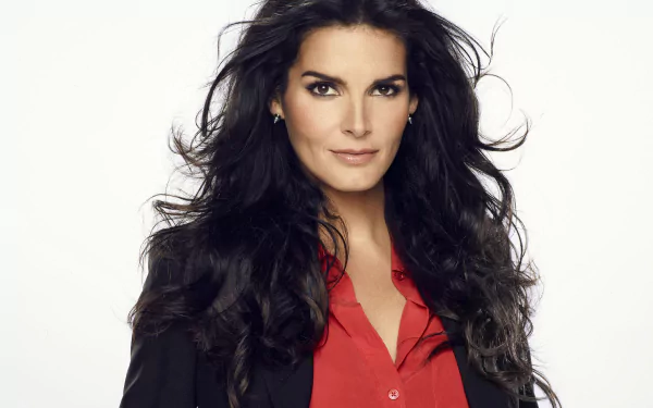 black hair American actress Celebrity Angie Harmon HD Desktop Wallpaper | Background Image