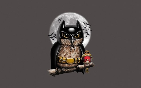 Comics Batman Owl Bird Moon Robin HD Wallpaper | Background Image