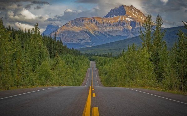 Man Made Road Forest Mountain Canada HD Wallpaper | Background Image